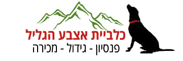כלביית אצבע הגליל